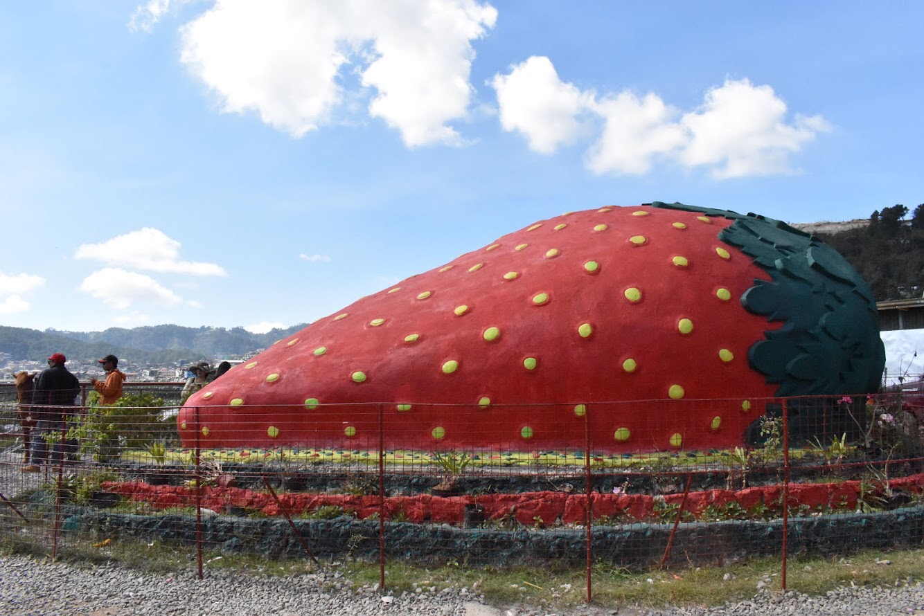 strawberry farm baguio tourist spot